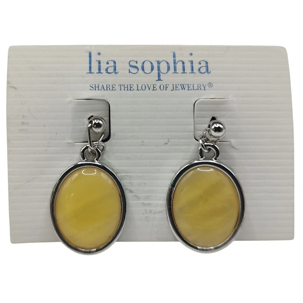 New Lia Sophia Turnover Silver Tone Genuine Abalone Earrings Reversible One Inch